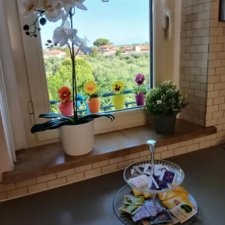 Apartamento Voglia Di Mare Versilia *